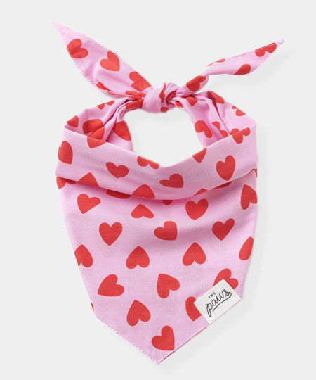 The-Paws-bandana-pour-chien-love-story