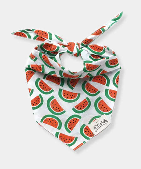 The-Paws-bandana-pour-chien-melon-pasteque
