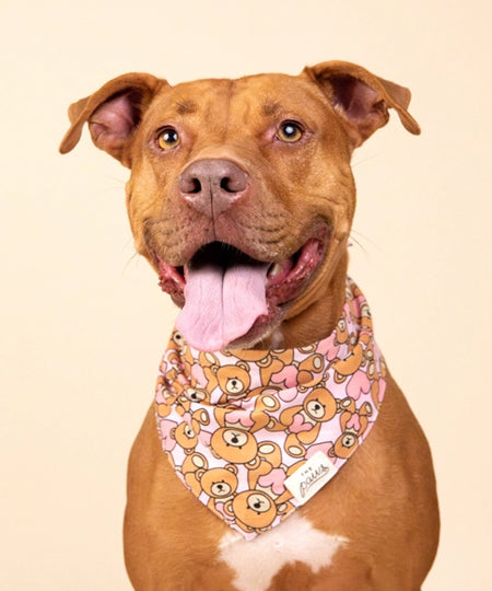 The-Paws-bandana-pour-chien-ours-rose-Fluff