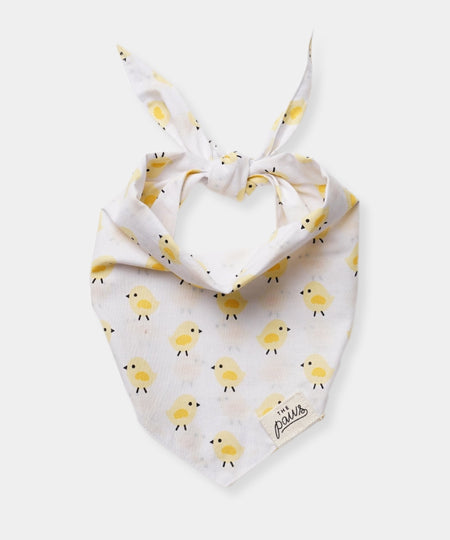 The-Paws-bandana-pour-chien-poussin