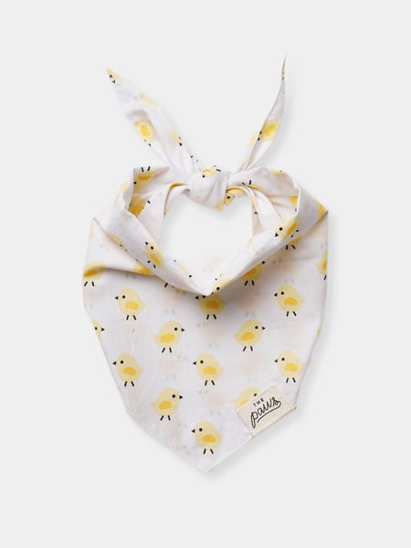 The-Paws-bandana-pour-chien-poussin
