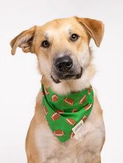 The-Paws-bandana-pour-chien-rugby-Defender