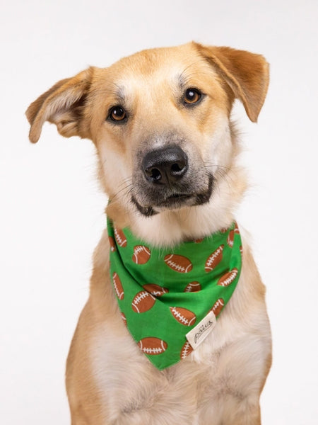 The-Paws-bandana-pour-chien-rugby-Defender