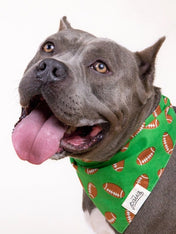 The-Paws-bandana-pour-chien-rugby-Defender