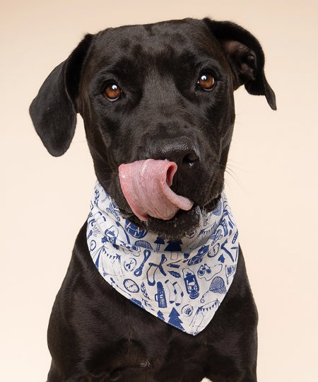 The-Paws-bandana-pour-chien-wander