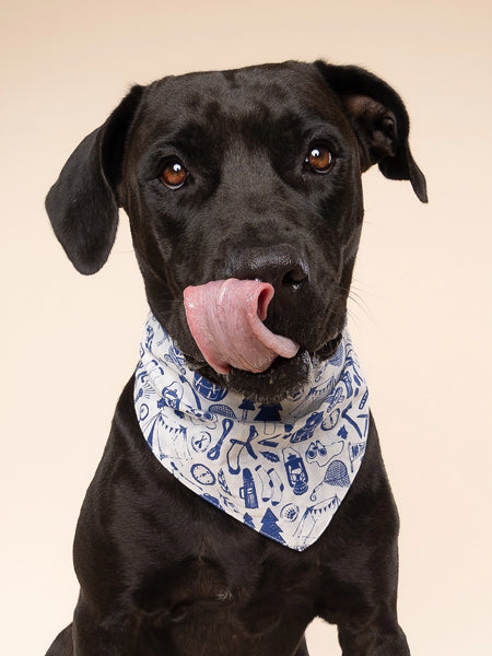The-Paws-bandana-pour-chien-wander