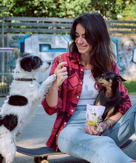 Vegdog-friandises-stick-dentaire-vegan-chien-mobilite