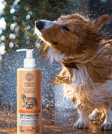 Wilda-Siberica-shampoing-bio-pour-chien-demelant