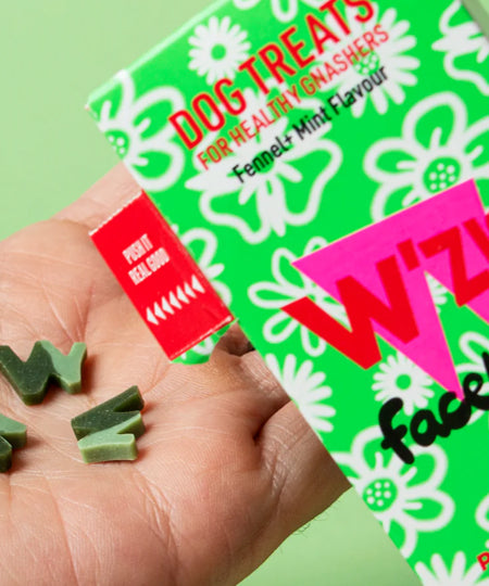 Wzis-friandise-vegan-pour-chien-Facelicker-menthe-fenouille-dentaire