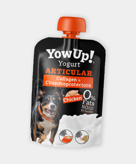 Yowup-Yahourtpour-chien-prebiotics-collagen-articulation-poulet