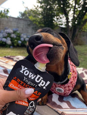 Yowup-Yahourtpour-chien-prebiotics-collagen-articulation-poulet