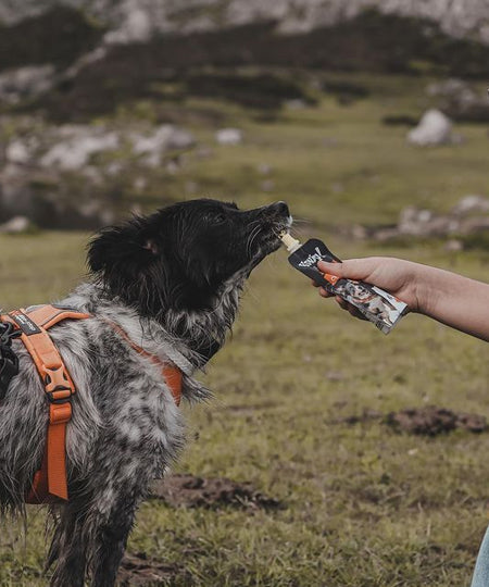 Yowup-Yahourtpour-chien-prebiotics-collagen-articulation-poulet