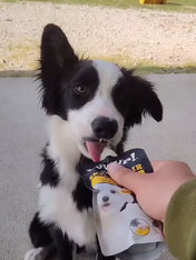 Yowup-Yahourtpour-chien-prebiotics-collagen-omega-3-6-saumon