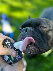 Yowup-Yahourtpour-chien-prebiotics-naturel