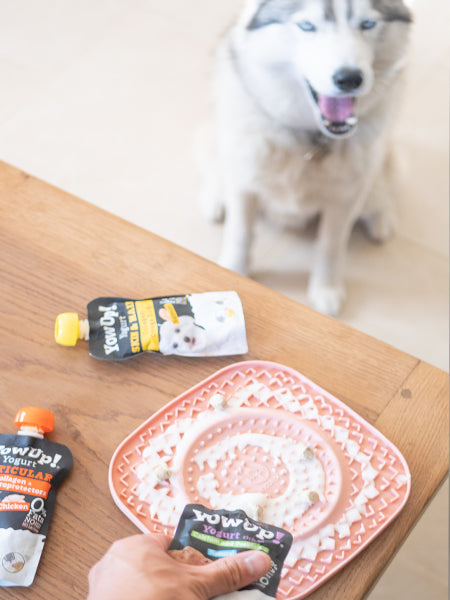 Yowup-Yahourtpour-chien-prebiotics-naturel