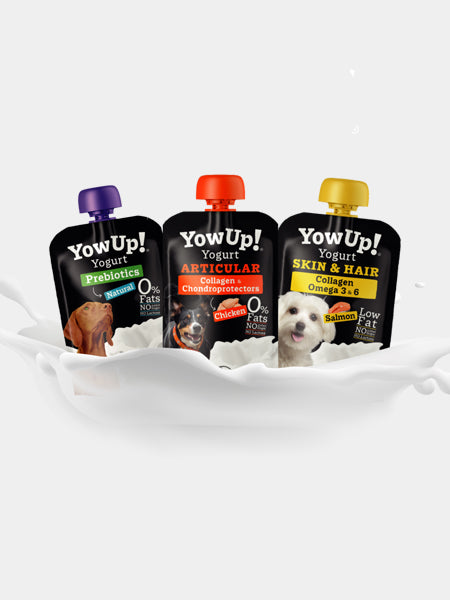 Yowup-Yahourtpour-chien-prebiotics-collagen-omega-3-6-saumon