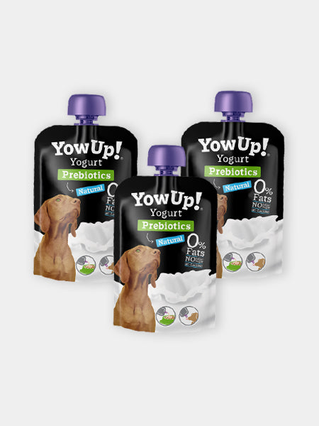 Yowup-Yahourtpour-chien-prebiotics-naturel-lot-de-3
