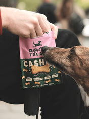 becopets-friandises-naturelles-pour-chien-Noix-cajou-citrouille-carotte