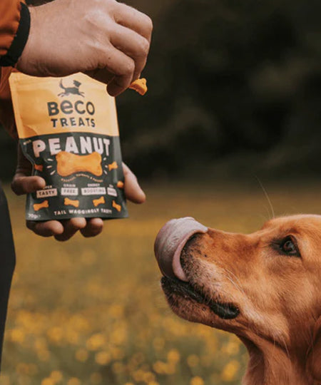 becopets-friandises-naturelles-pour-chien-beurre-de-cacahuete-noix-de-coco-curcuma