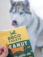 becopets-friandises-naturelles-pour-chien-beurre-de-cacahuete-noix-de-coco-curcuma