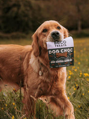 becopets-friandises-naturelles-pour-chien-caroube-chamomille-quinoa