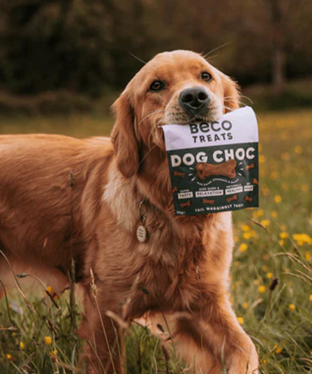 becopets-friandises-naturelles-pour-chien-caroube-chamomille-quinoa