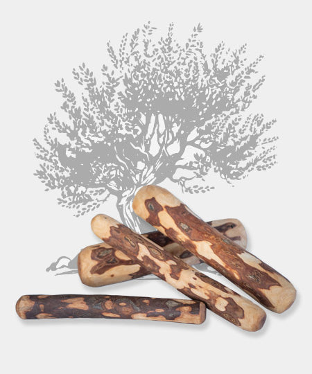 bois-olivier-naturel-a-macher-pour-chien-mastication