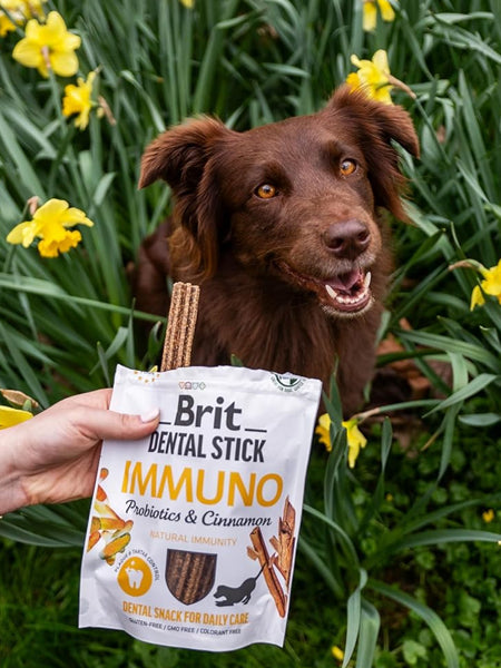 brit-stick-dentaire-naturelles-pour-chien-immunitaire