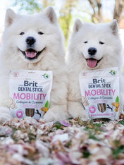 brit-stick-dentaire-naturelles-pour-chien-mobilite