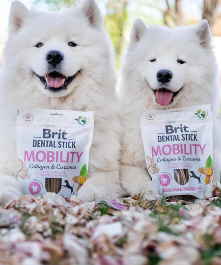 brit-stick-dentaire-naturelles-pour-chien-mobilite