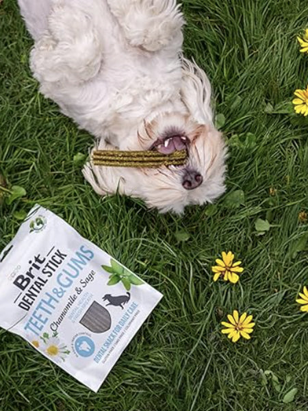 brit-stick-dentaire-naturelles-pour-chien-soin-dentaire