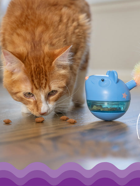catstages-jouet-interactif-pour-chat-chaton-hunt-n-swat-violet-bleu