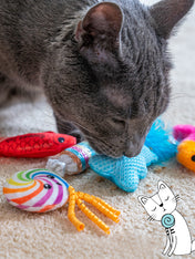 catstages-jouet-lot-6-peluches-pour-chat-kitty-sweet-treats