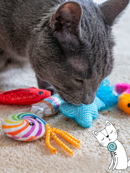 catstages-jouet-lot-6-peluches-pour-chat-kitty-sweet-treats