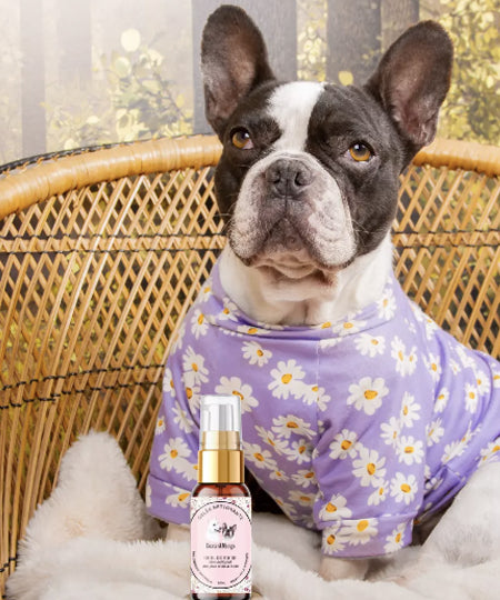 dexter-et-mango-soins-pour-chien-Gelee-nettoyante-Oeil-de-biche