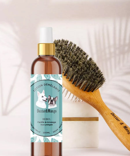 dexter-et-mango-soins-pour-chien-lotion-demelante