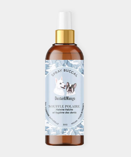 dexter-et-mango-soins-pour-chien-souffle-polaire-haleine-fraiche