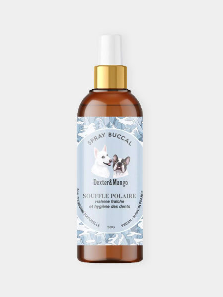 dexter-et-mango-soins-pour-chien-souffle-polaire-haleine-fraiche