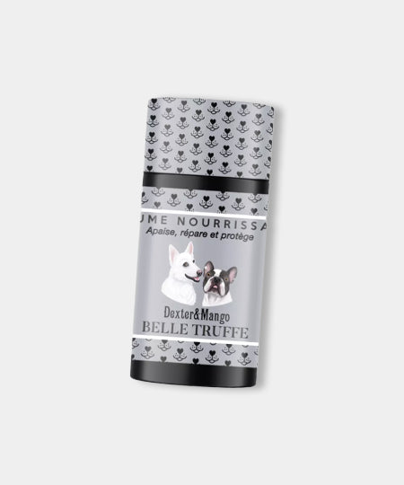 dexter-et-mango-soins-pour-chien-stitck-baume-truffe