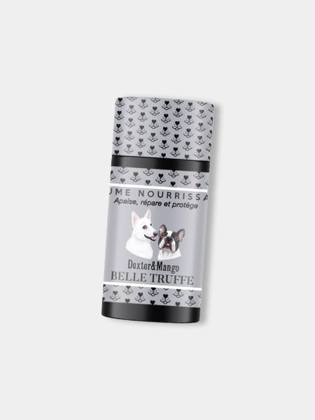 dexter-et-mango-soins-pour-chien-stitck-baume-truffe