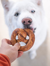Analyzing image    duvo-_-friandises-a-macher-pretzel-pour-chien-boeuf