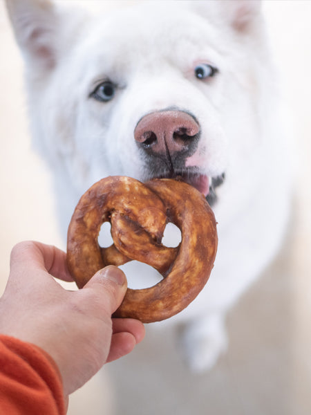 Analyzing image    duvo-_-friandises-a-macher-pretzel-pour-chien-boeuf