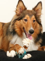 jouet-balle-corde-pour-chien-chiot-Levi-lagoon