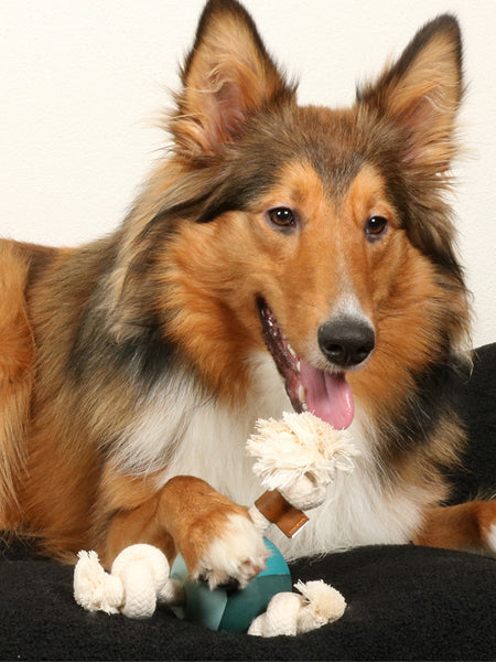 jouet-balle-corde-pour-chien-chiot-Levi-lagoon