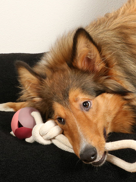 duvo-_-jouet-balle-corde-pour-chien-chiot-Nora-rosewood