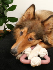 duvo-_-jouet-triangle-balle-corde-pour-chien-chiot-Milou-rosewood