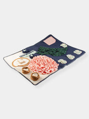 duvo-_-tapis-fouille-enrichissement-pour-chien-chiot-earth