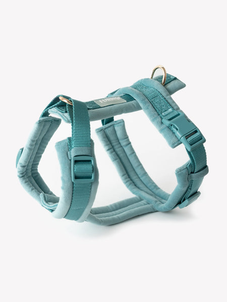 furlou-harnais-pour-chien-velvet-bleu