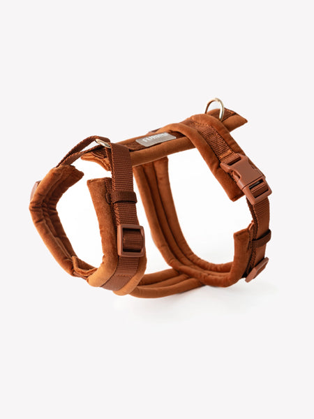 furlou-harnais-pour-chien-velvet-terre-cuite