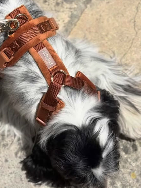 furlou-harnais-pour-chien-velvet-terre-cuite